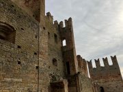 Castell'Arquato : Aspettando la Primavera (26/70)